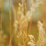 Last Month at Disneyland: July 2019