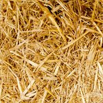 DTF Podcast Episode 3 Show Notes