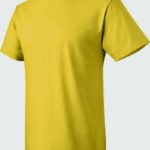 2015 Neverland 5K Outfit Planning