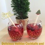 Christmas Cocktail and Stir Sticks