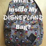 What's Inside My Disneyland Bag