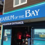 Aquarium of the Bay in San Francisco