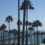 Trip Report: A Family Trip to San Clemente