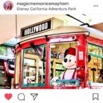 Sharing Some Instagram Love (and a Little Bit of Hate)