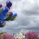 A Disneyland Day in the Life