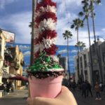 Disneyland Resort Christmas Food Round Up